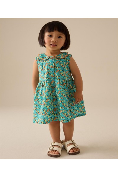 РОКЛЯ РОКЛЯ